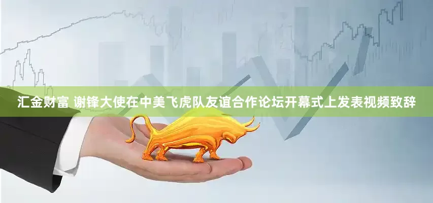 汇金财富 谢锋大使在中美飞虎队友谊合作论坛开幕式上发表视频致辞