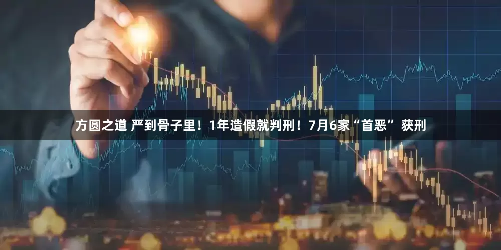 方圆之道 严到骨子里！1年造假就判刑！7月6家“首恶” 获刑