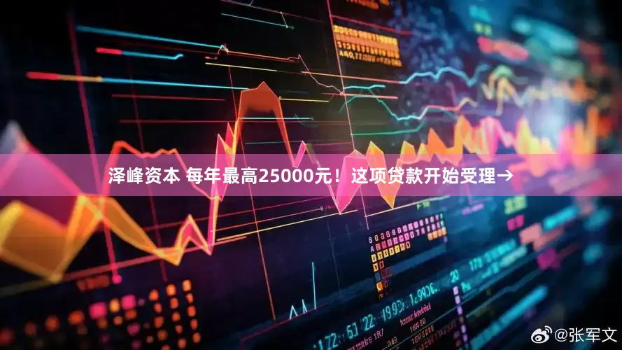 泽峰资本 每年最高25000元！这项贷款开始受理→