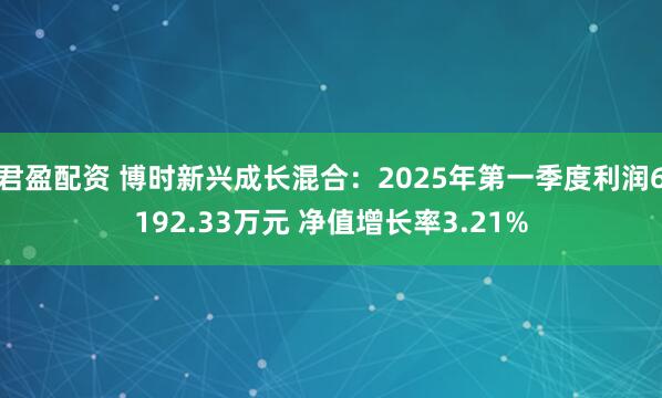 君盈配资 博时新兴成长混合：2025年第一季度利润6192.33万元 净值增长率3.21%