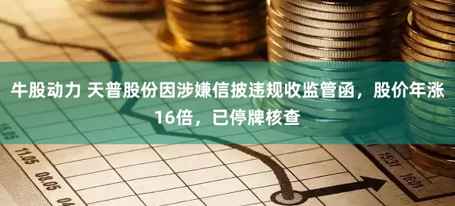 牛股动力 天普股份因涉嫌信披违规收监管函，股价年涨16倍，已停牌核查