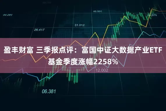 盈丰财富 三季报点评:富国中证大数据产业ETF基金季度涨幅2258%