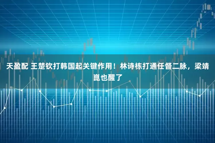 天盈配 王楚钦打韩国起关键作用！林诗栋打通任督二脉，梁靖崑也醒了